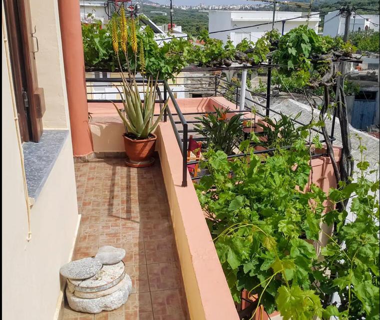 Traditional Residence With Terrace Latsida エクステリア 写真